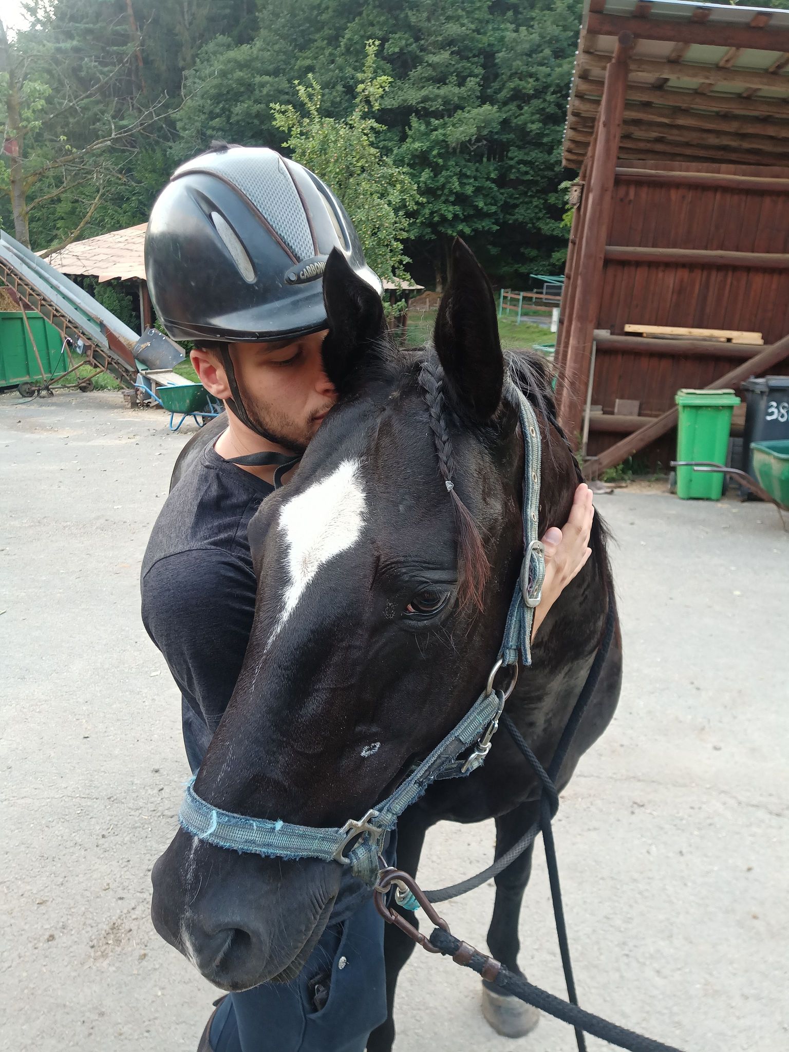 Horseback riding is our passion, combining the love of animals with the joy of movement. Horse riding colored boston terrier