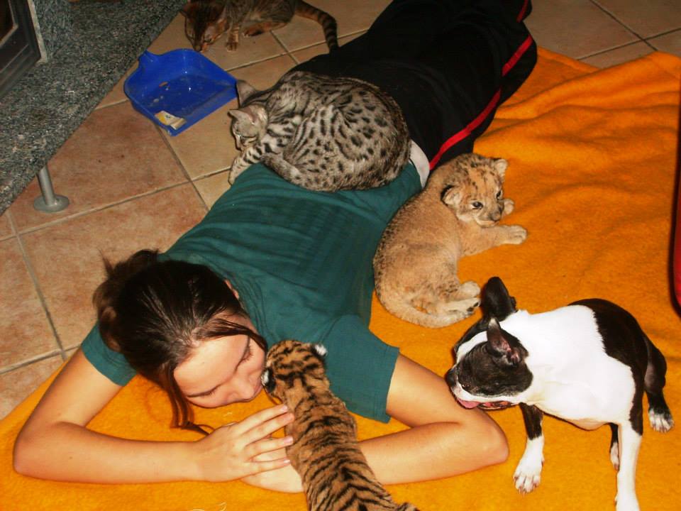 Saskia spent her childhood surrounded by animals - here with a baby tiger, a lion cub, Bengal cats and her first Boston girl.